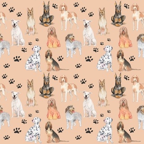 Large Dogs on peach background small