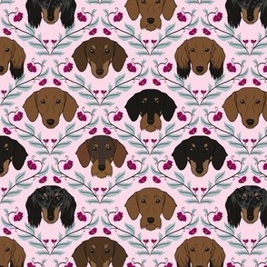 Dachshund Ogee Pink (Small)