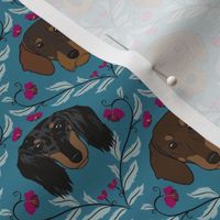 Dachshund Ogee Teal (small)
