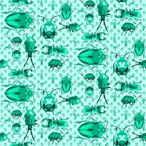 Bugs and beatles, oh my! 
