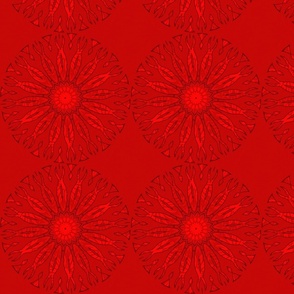 Monochrome Moments - Regal Red Daisy