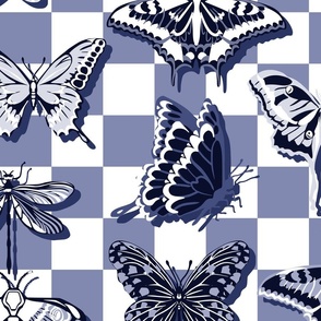 Blue butterflies check - L