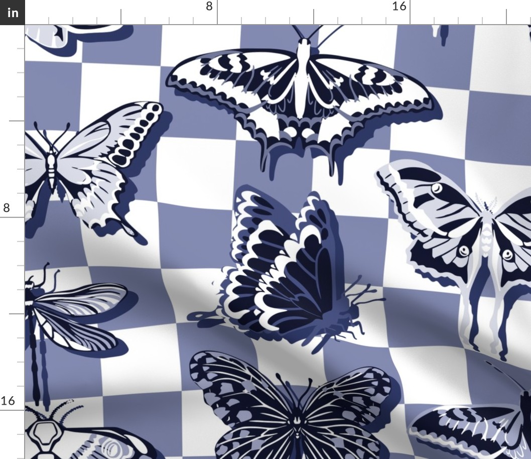 Blue butterflies check - L