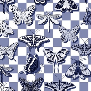 Blue butterflies check - M