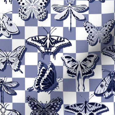 Blue butterflies check - S