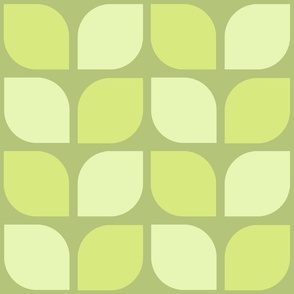 leaves_mod_avocado