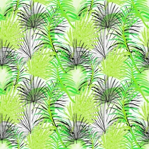 Palm Play | Lime