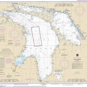 NOAA Lake Huron nautical chart #14860, 41x36" - fits one yard of all fabrics