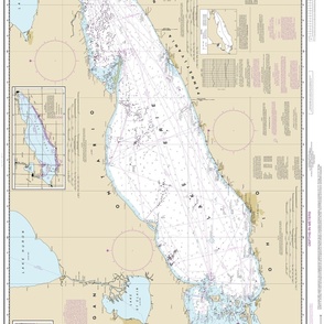 NOAA Lake Erie nautical chart #14820, sideways, 36x25",  two per yard on wider fabrics