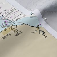 NOAA Lake Erie nautical chart #14820, 52x36",  one per yard for wider fabrics 