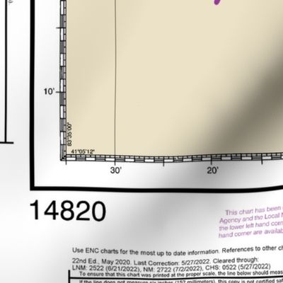 NOAA Lake Erie nautical chart #14820, 52x36",  one per yard for wider fabrics 