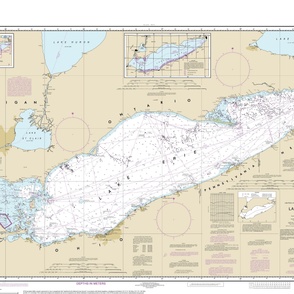 NOAA Lake Erie nautical chart #14820, 52x36",  one per yard for wider fabrics 