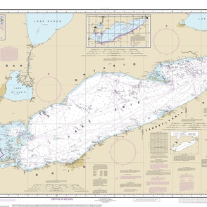 NOAA Lake Erie nautical chart #14820, 42x29",  one per yard for narrow fabrics 