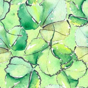 Strawberry Leaves_Watercolour