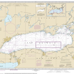 NOAA Lake Ontario nautical chart #14800, 42x30",  one per yard for narrow fabrics 