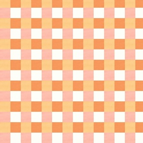 Cheerful Checks in Orange in Pink