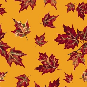 Falling Maple Leaves - Harvest Gold