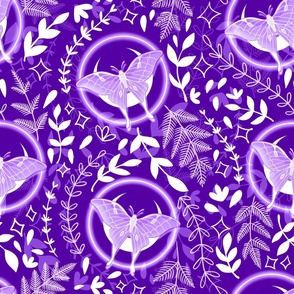 Monocrome magical purple moths with crescent moon and floral elements