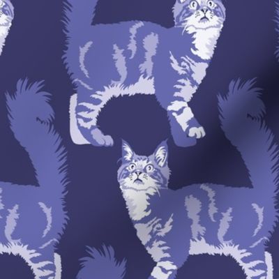 Cats in Periwinkle Blue