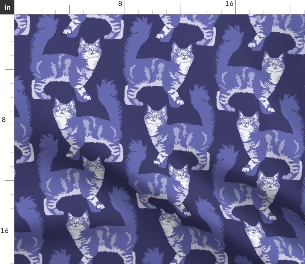 Cats in Periwinkle Blue