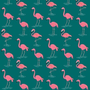 Flamingo Water Party