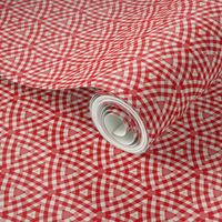 Funky Picnic, modern red check 