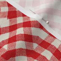 Modern Red Checked Pattern/ Picnic 