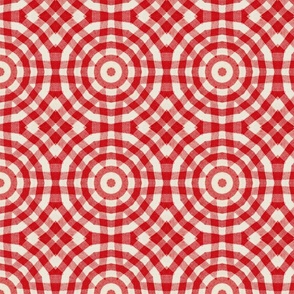 Modern Red Checked Pattern/ Picnic 