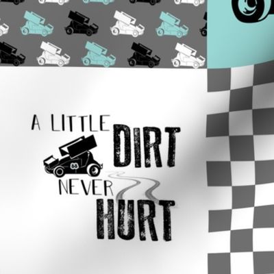 Dirt Track Sprint//Mint//88 - Wholecloth Cheater Quilt