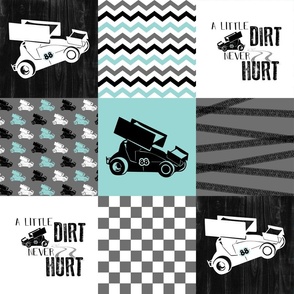 Dirt Track Sprint//Mint//88 - Wholecloth Cheater Quilt