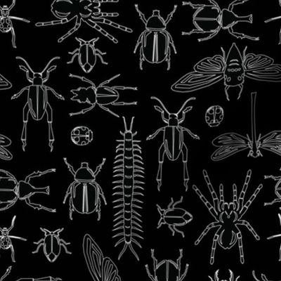 Bug Collection - Black