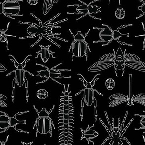 Bug Collection - Black