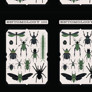 Entomology 101- Black