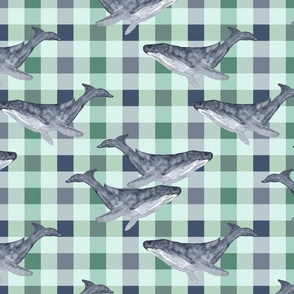 Whales on Plaid