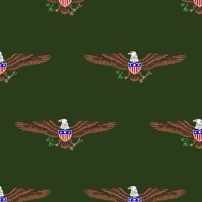 USA American Bald Eagle Symbol on Green