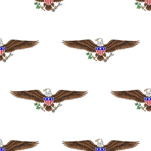 USA American Bald Eagle Symbol on White