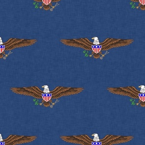 USA American Bald Eagle Symbol on Blue