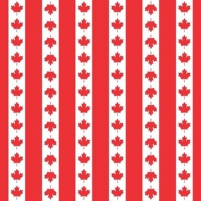 Canadian Flag Day Stripe with Rows of Red Maples Leaves Alternating with a Solid Red Stripe