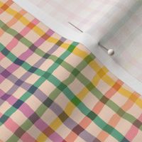 small scale warm rainbow wavy check