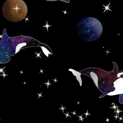 Orcas in Space
