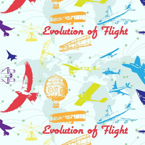 Evolution of Flight1