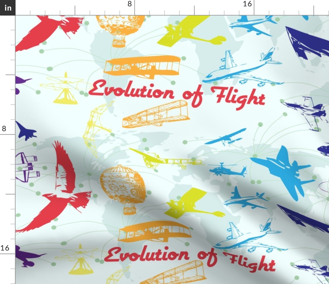 Evolution of Flight1