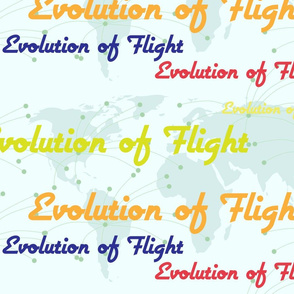 Evolution of Flight3