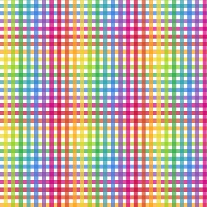 Colorful Gingham - Small