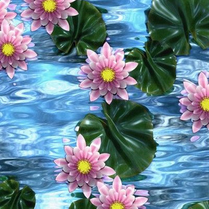 The Waterlilies