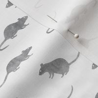 rats - fancy rats - grey/white - LAD22