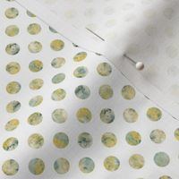 watercolor basil dots on white background