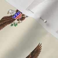USA American Bald Eagle Symbol on Cream