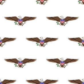USA American Bald Eagle Symbol on White