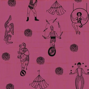 Circus picnic blanket fabric